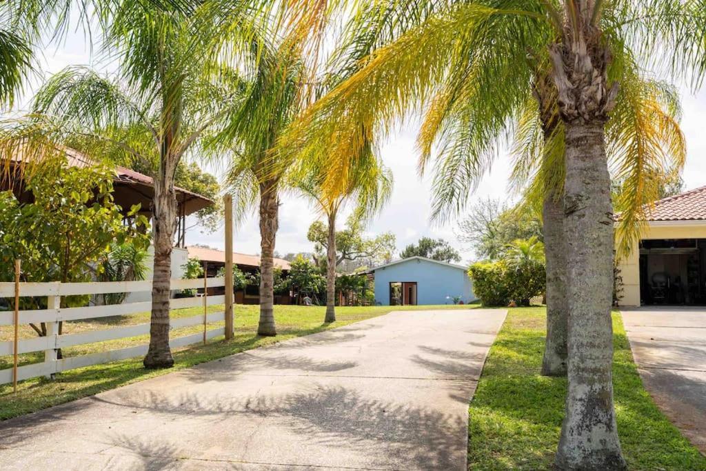 타폰스프링스 Tampa Bay Oasis 아파트 외부 사진
