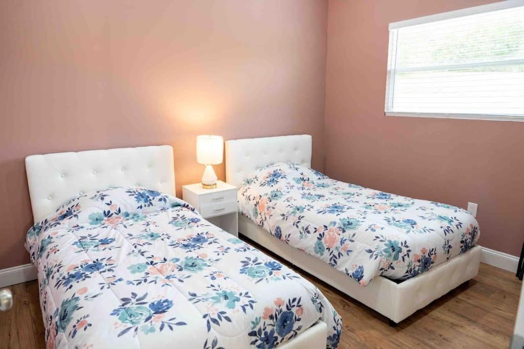 타폰스프링스 Tampa Bay Oasis 아파트 외부 사진